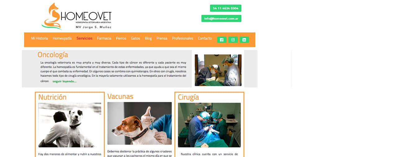 Perros Gatos